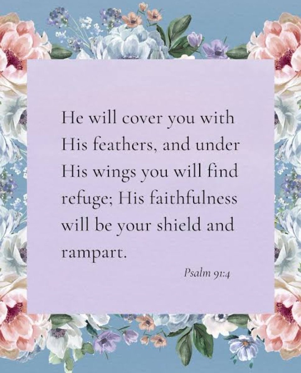 DrSherryAnne's tweet image. Today&apos;s #SundayScripture comes with a devotional that is a beautiful reminder of God&apos;s abiding presence in our lives (Psalm 91:4). Written by a friend.

allieoopie93.wixsite.com/website/post/u…