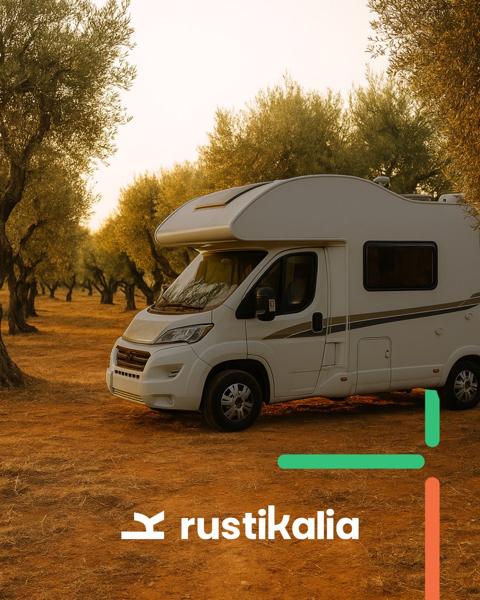rustikalia's tweet photo. 🌿 ¿Te imaginas dormir rodeado de olivos? Te invitamos a vivirlo… totalmente GRATIS.

Abrimos una finca tradicional con olivos de marco amplio, perfecta para venir con tu autocaravana y pasar unos días en plena naturaleza. Puedes quedarte 1, 3 o 10 días. Tú eliges. https://t.co/UkWcEyfERf