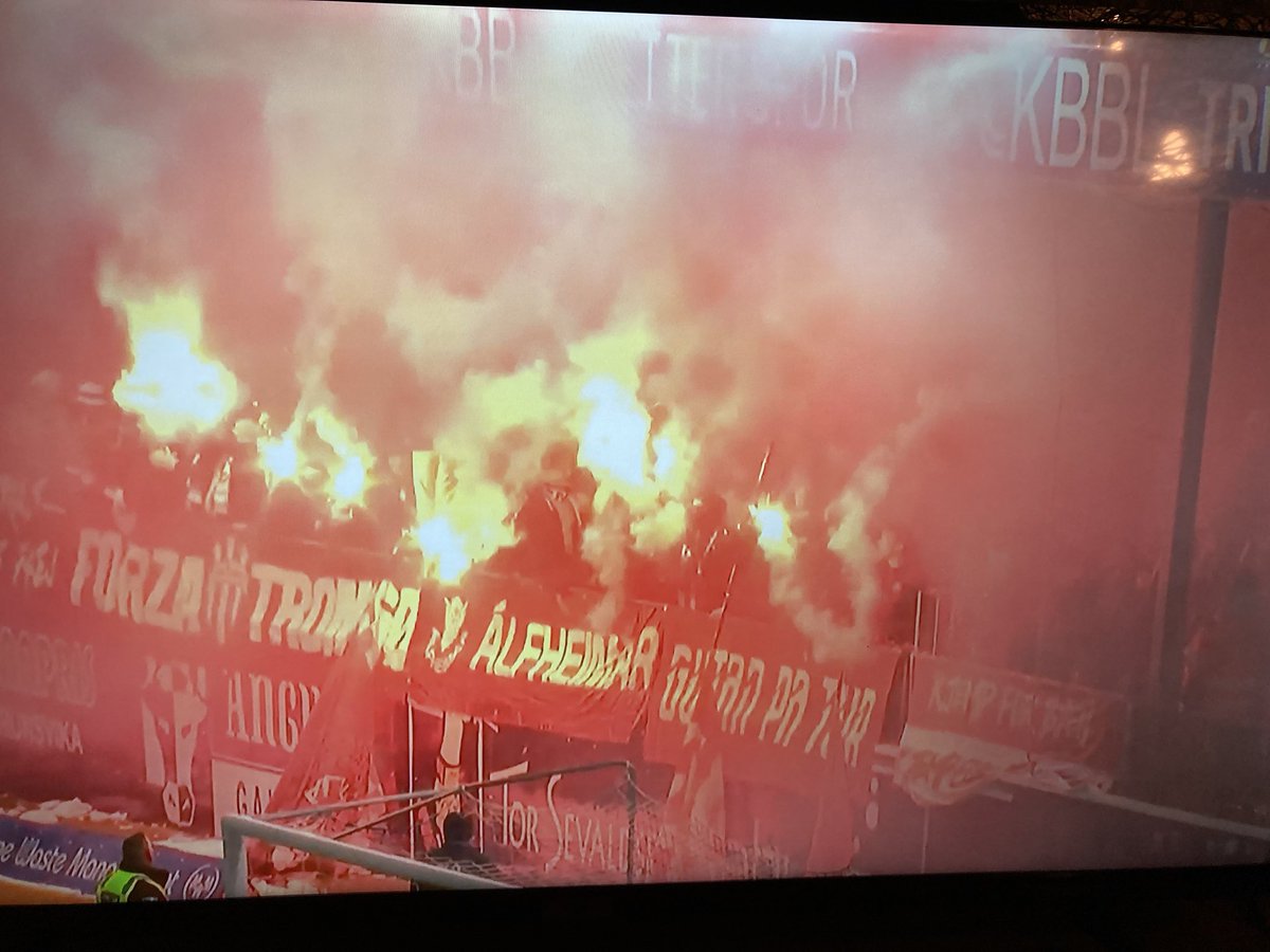 Feck@safec541 tweet media