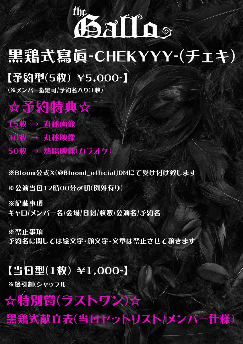 ☆黒鶏公演☆

令和07年12月03日(水)
東高円寺二万電圧

ギャロ東名阪無料単独公演
IL RISTORANTE-20092024-

開場:17時30分/開演:18時00分
前売:4500円/当日:0円

☆出演☆
ギャロ

ticketdive.com/event/gallo200…

◇特別企画◇
黒鶏式撮影会-激写篇-

▼予約▼
黒鶏式寫眞-CHEKYYY-(チェキ)