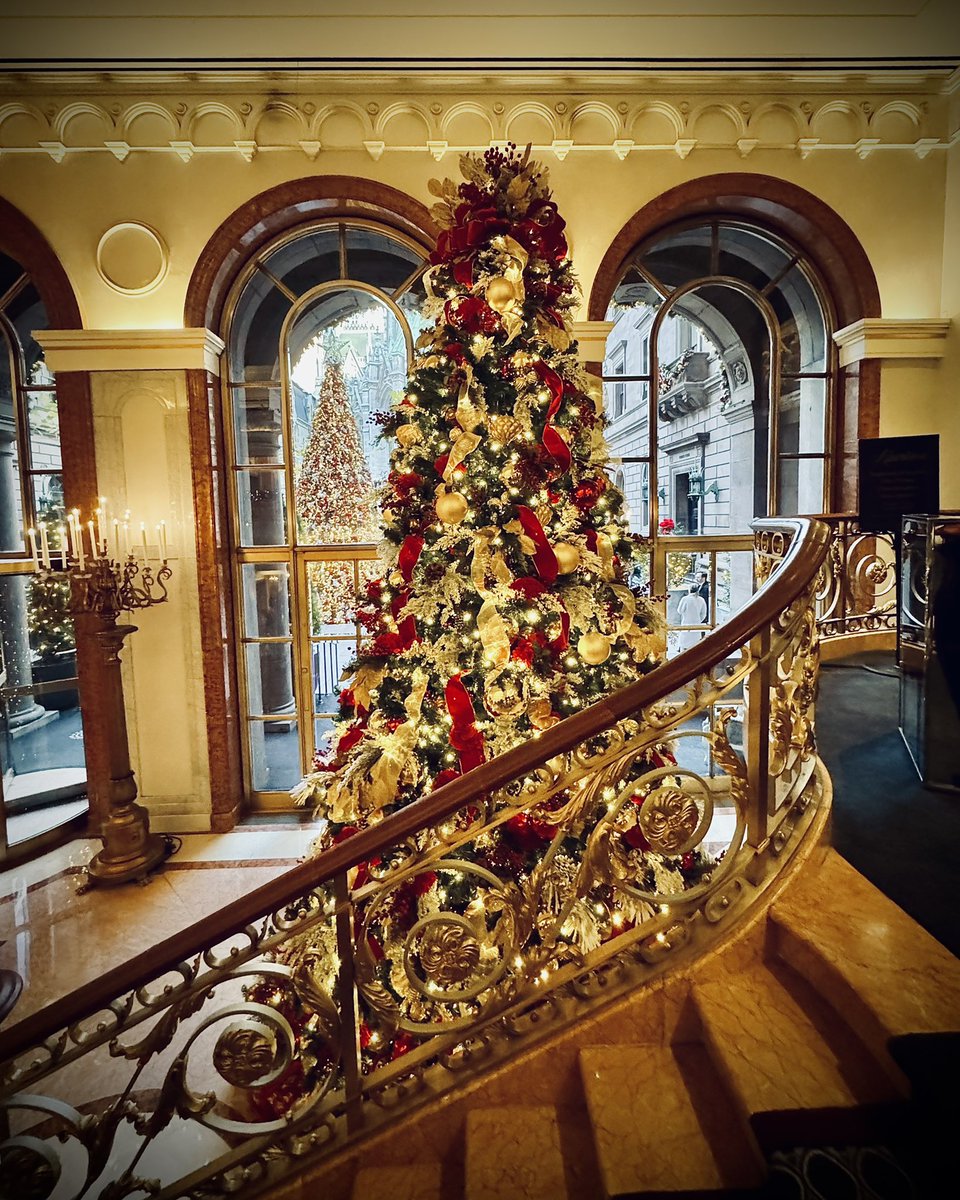When you visit the Lotte New York Palace on Madison Avenue between 50th &amp; 51st Street, walk up the stairs on the left side. You can perfectly frame your shot w/the courtyard Christmas tree, centered between the two large windows, plus St Patricks Cathedral, &amp; the candelabra.