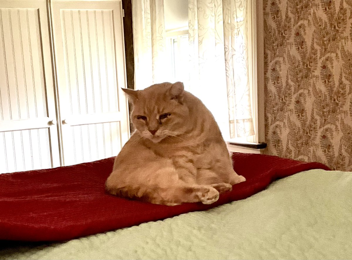 <a href="/CleeWeezy/">Littol Clee 🖤🧡</a> On Sundays we cleepsit
~Charlie