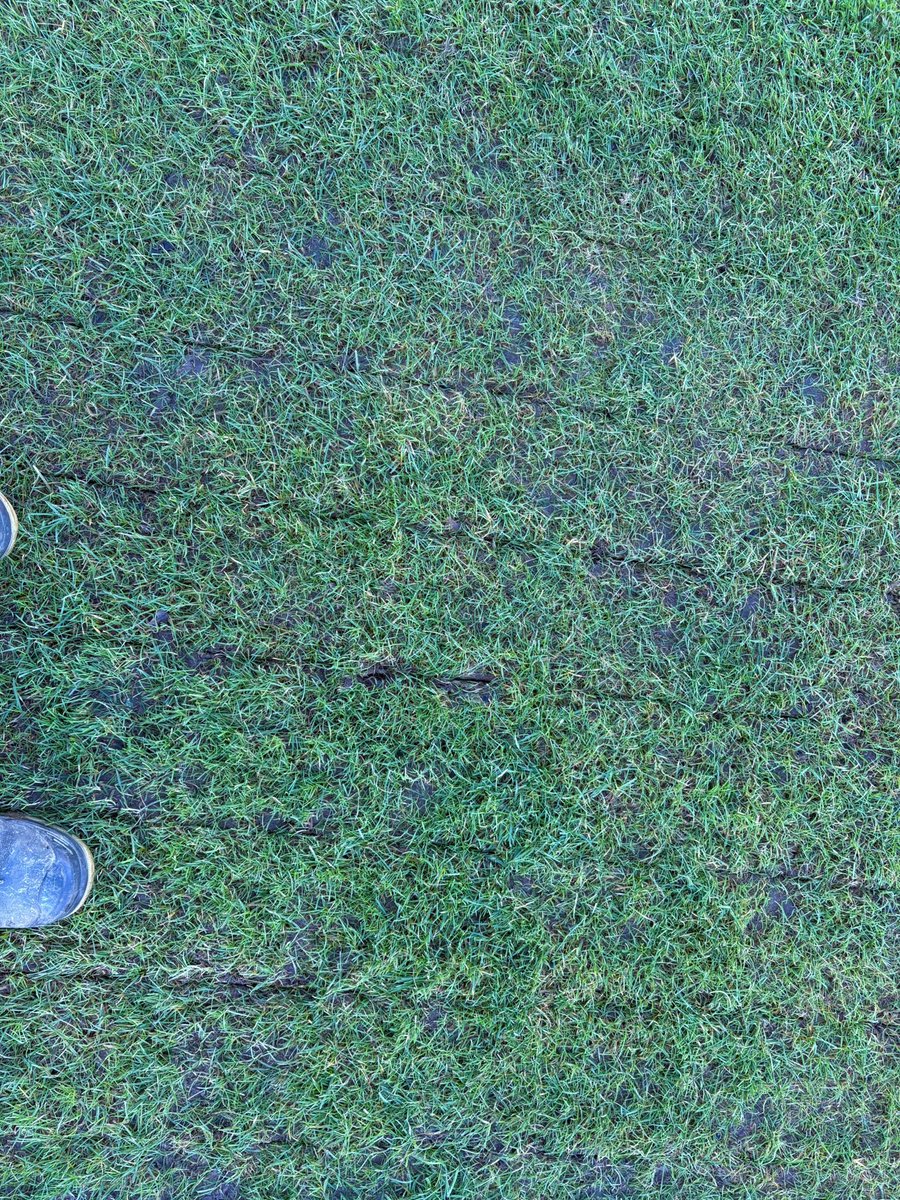 LBA Sports Pitches tweet media