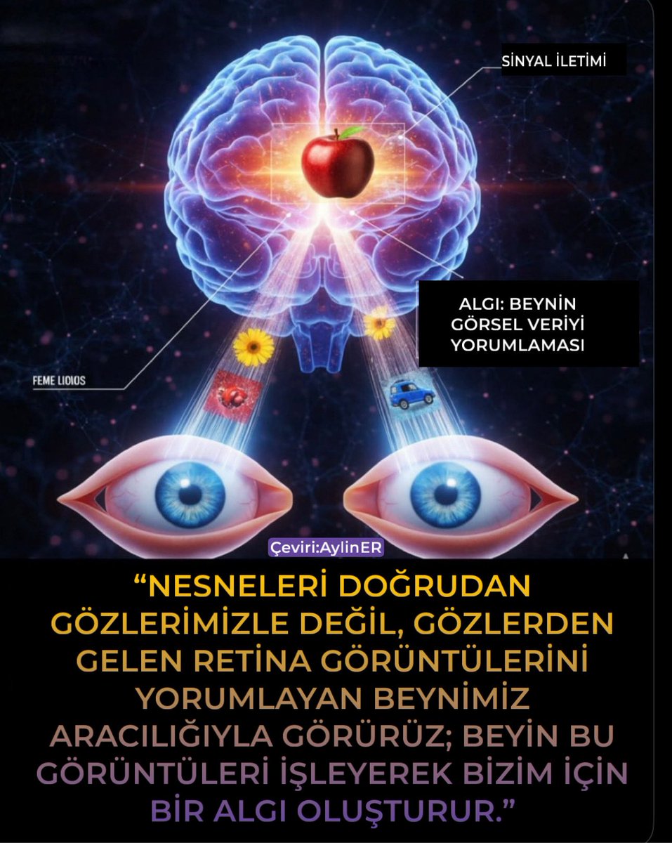 “NESNELERİ DOĞRUDAN GÖZLERİMİZLE DEĞİL, GÖZLERDEN GELEN RETİNA GÖRÜNTÜLERİNİ YORUMLAYAN BEYNİMİZ ARACILIĞIYLA GÖRÜRÜZ; BEYİN BU GÖRÜNTÜLERİ İŞLEYEREK BİZİM İÇİN BİR ALGI OLUŞTURUR.”

👁️ Dünyayı Aslında Nasıl Gördüğümüzle İlgili Aklımızı Başımızdan Alacak Gerçek

Çoğumuz etrafa