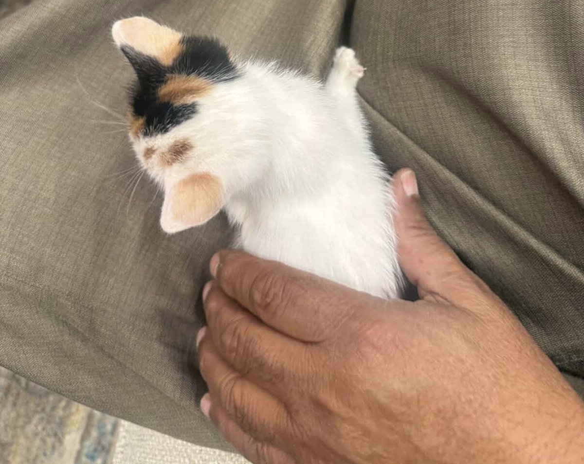 احب حنان بابا🥹💗💗💗