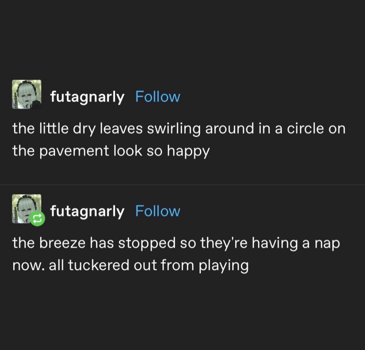 RespectfulMemes's tweet image. 