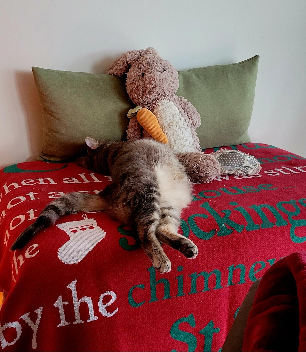 jenryancorkran's tweet image. Post holiday sabbath rest.
#hebrews4v9 #sundayscripture #CatsOfTwitter