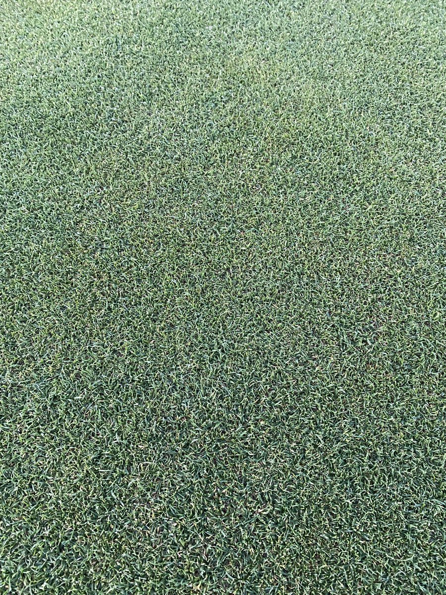 Michael Russell tweet media