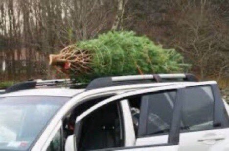 NOTE: support your local <a href="/mcvfra/">MoCo(MD) Vol. Fire</a> ‘Volunteer’ Firehouse by purchasing Christmas Trees &amp; other holiday accessories. Those selling Christmas Trees Bethesda-Chevy Chase <a href="/BCCRS/">B-CC Rescue Squad</a>; Cabin John Park <a href="/CJPVFD/">Cabin John Park VFD</a>; Takoma Park <a href="/tpvfd/">Takoma Park VFD</a>; Wheaton Rescue <a href="/WheatonRescue2/">WVRS</a>, to name a few <a href="/MontgomeryCoMD/">Montgomery County MD Government</a>