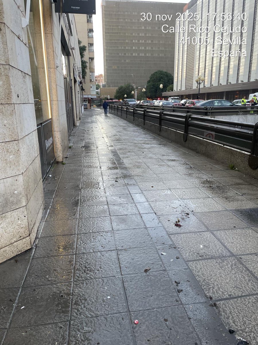 Dispositivo especial de limpieza para el #DerbiSevillano 

Desde que los aficionados han accedido al estadio Sánchez Pizjuán se ha trabajado en todo el entorno retirando los residuos

Durante la noche continúan los servicios de limpieza para reforzar la limpieza tras el evento