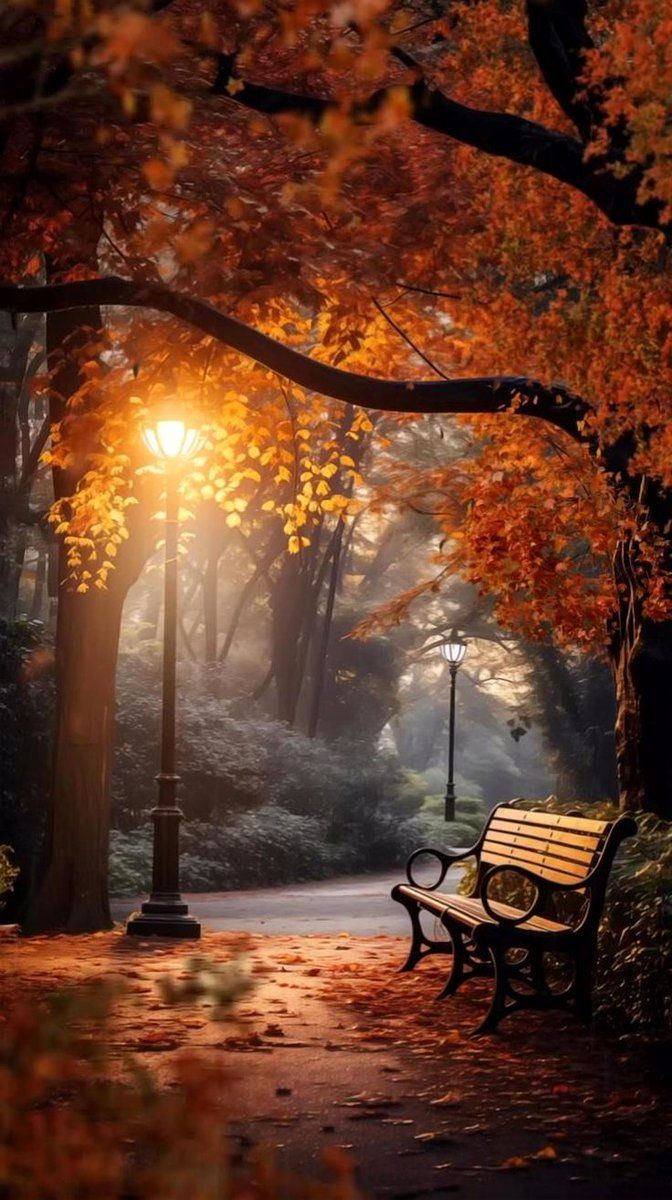 🍂💫🍂Good evening 🍂💫🍂