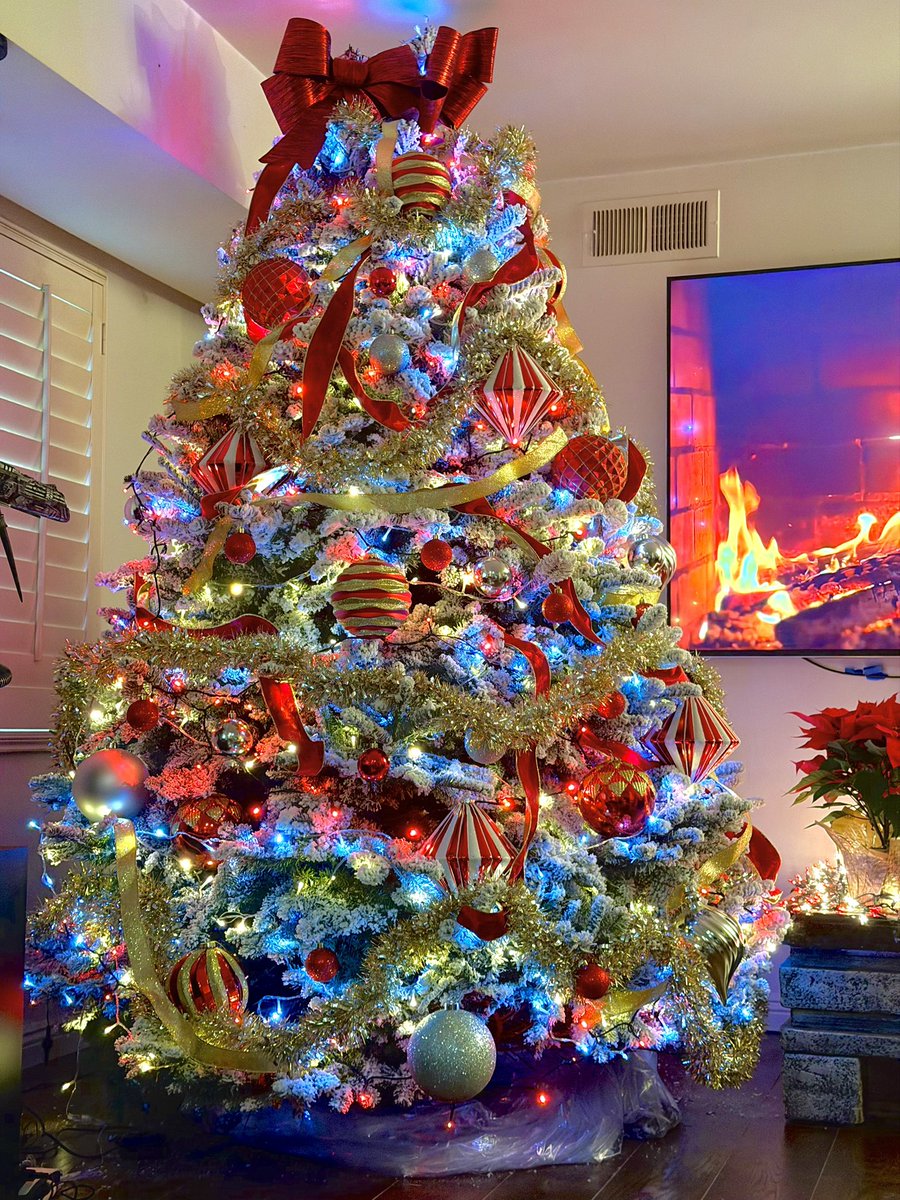 Tree is up and we are on to the Holidays. 🎄🍸