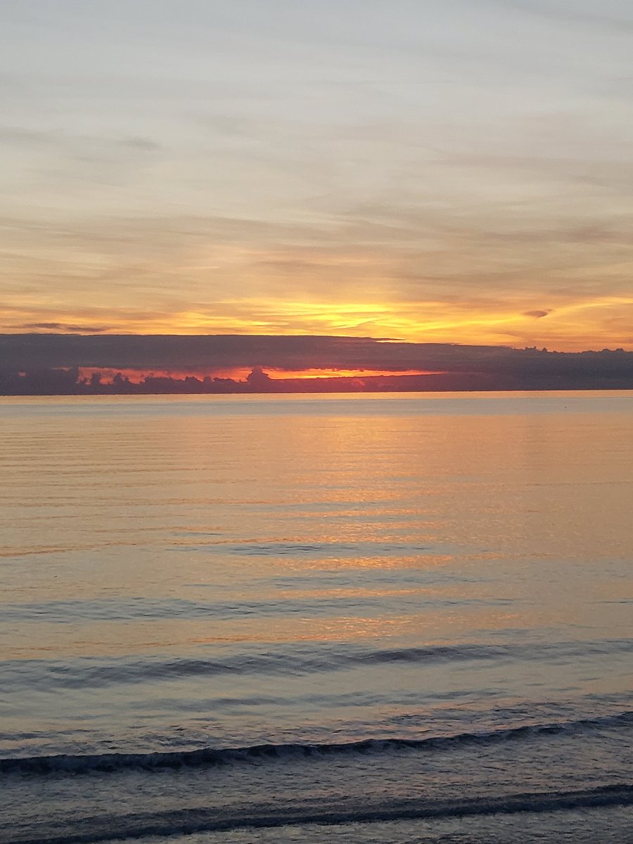 Maria Lea tweet media