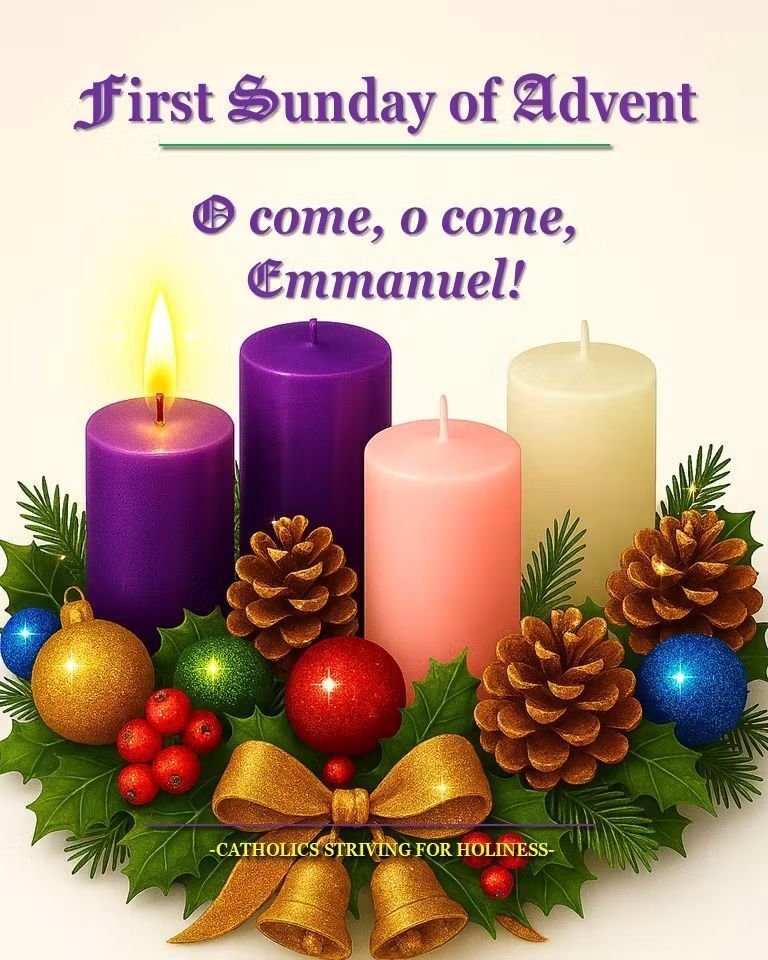 olofcwc's tweet image. 