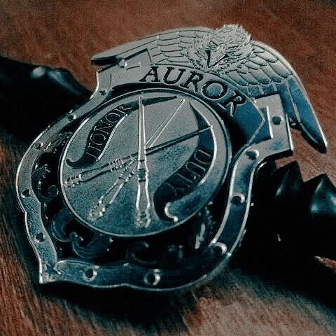 PennedbyHunter's tweet photo. when all the puzzle pieces come together 🪄 https://t.co/Cgraf06Tf0