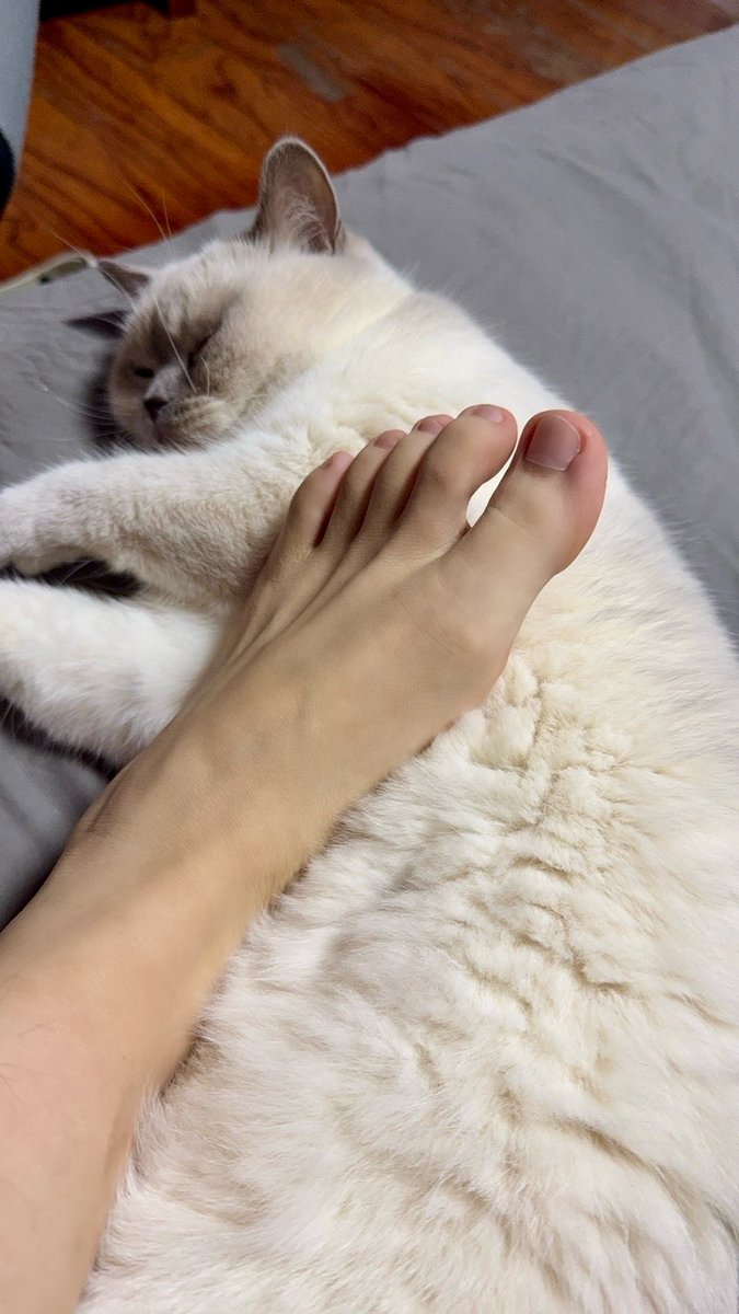 星期日 tweet media