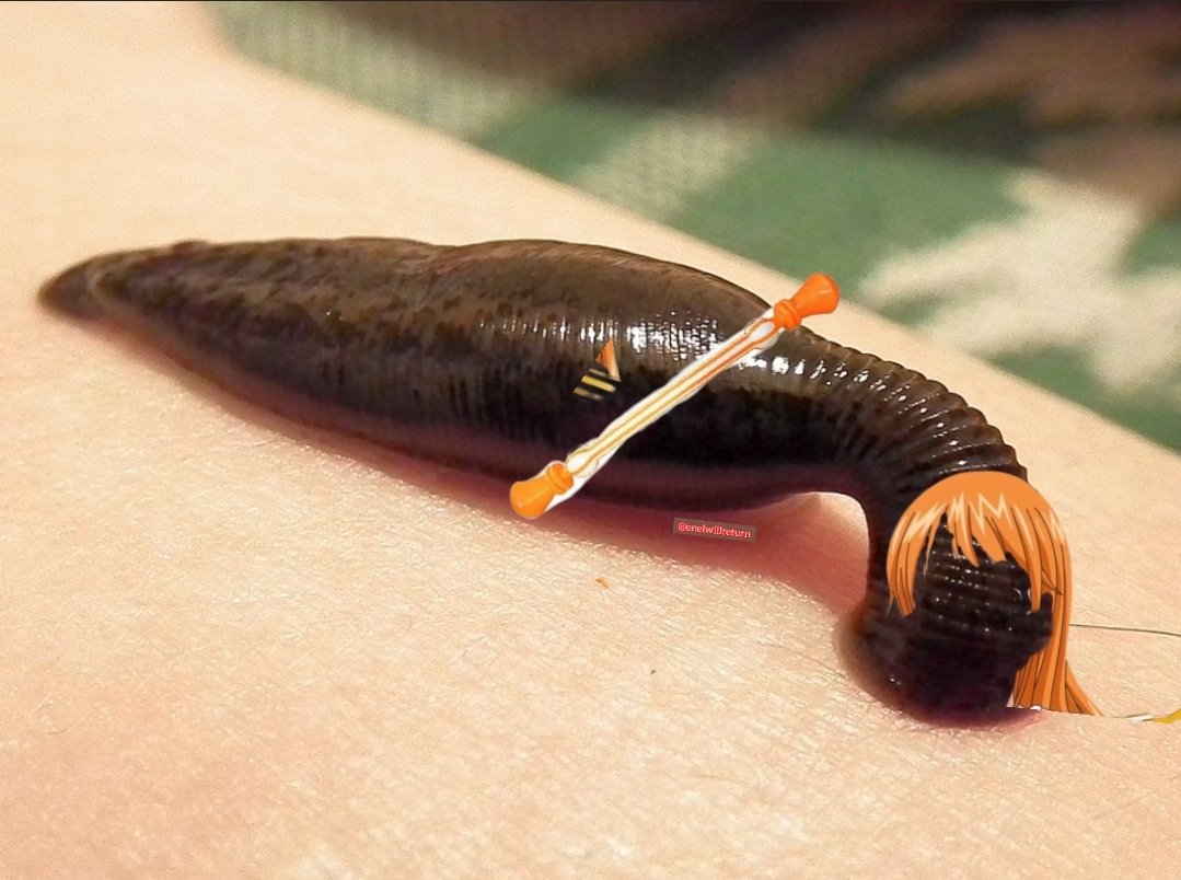 Zarte🔻 (@festo2_) on Twitter photo 