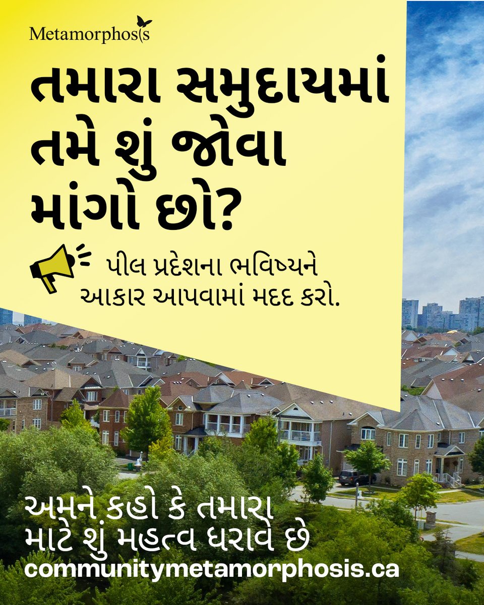 Metamorphosis Network tweet media