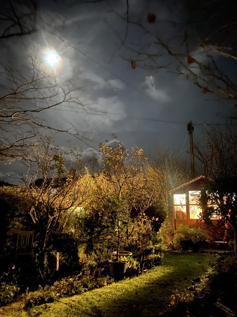letterappsoc's tweet photo. And so she went up to her little Letter Writing Shed by the light of the moon and wrote welcoming letters and Christmas cards and drank bubbly from a teacup and lived happily ever afterโฆ #THLAS2000 #UpTheShed #LetterWritingSunday #ChristmasCardDay ๐โ๏ธโ๏ธ๐ โจ https://t.co/A11tWN5tVk