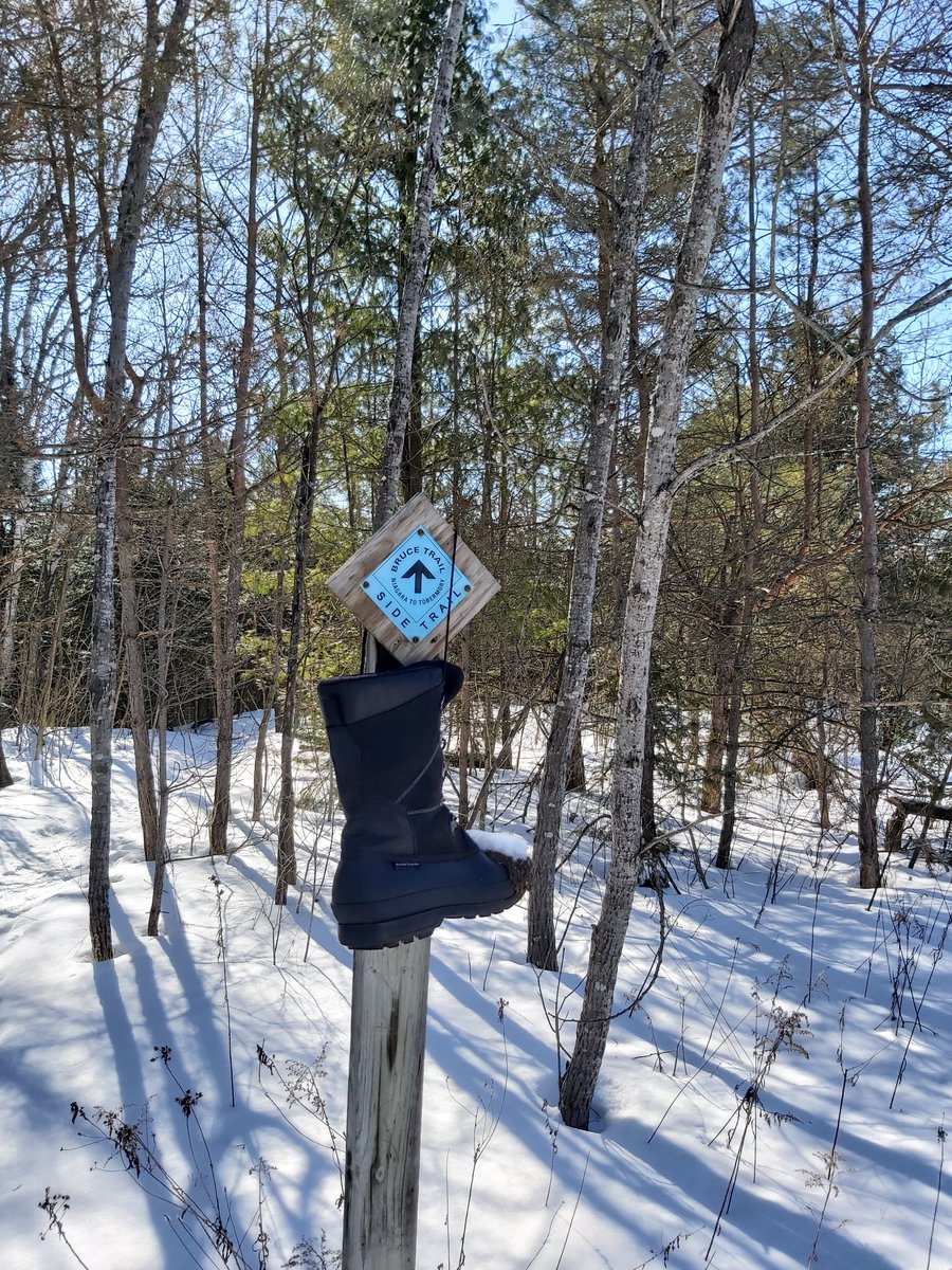 the_unix_guru's tweet image. The Canadian version of Cinderella...