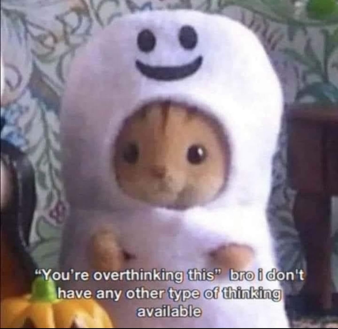 PunchingCat's tweet image. 