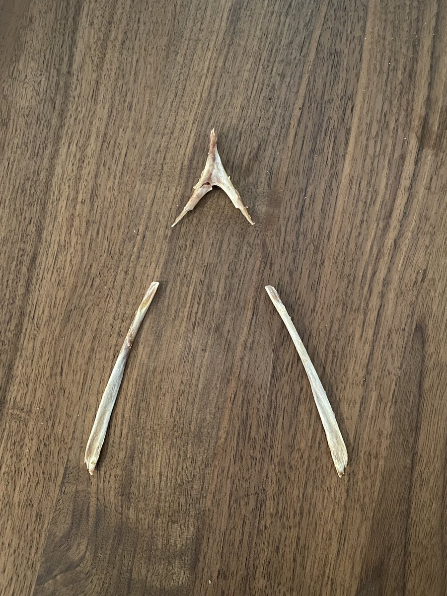 JustineBateman's tweet image. I need your consensus. Pulled a turkey wishbone with someone and it broke like this. Who gets the wish? Me, him, both, or neither?