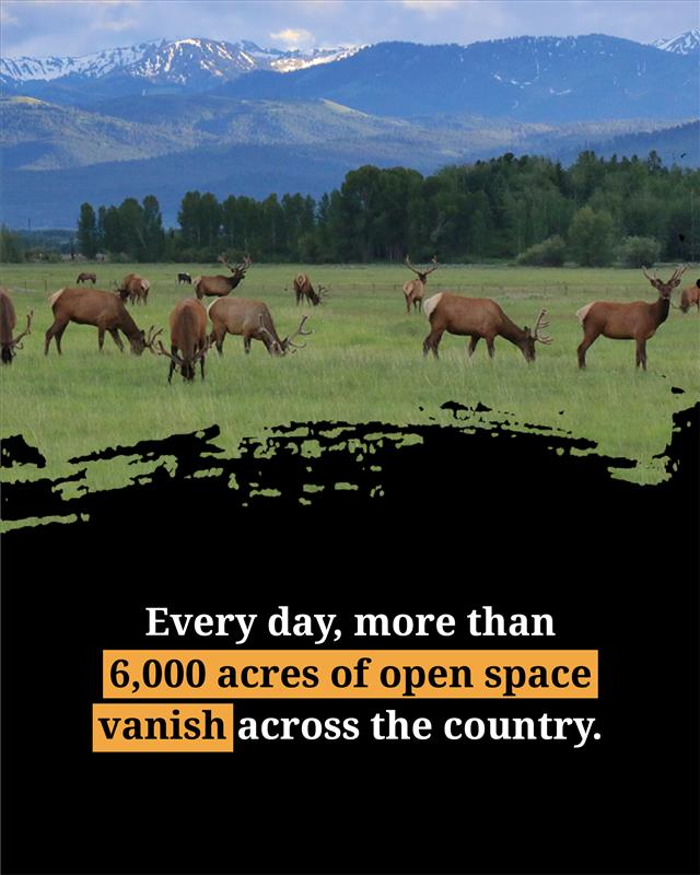 The Conservation Fund tweet media