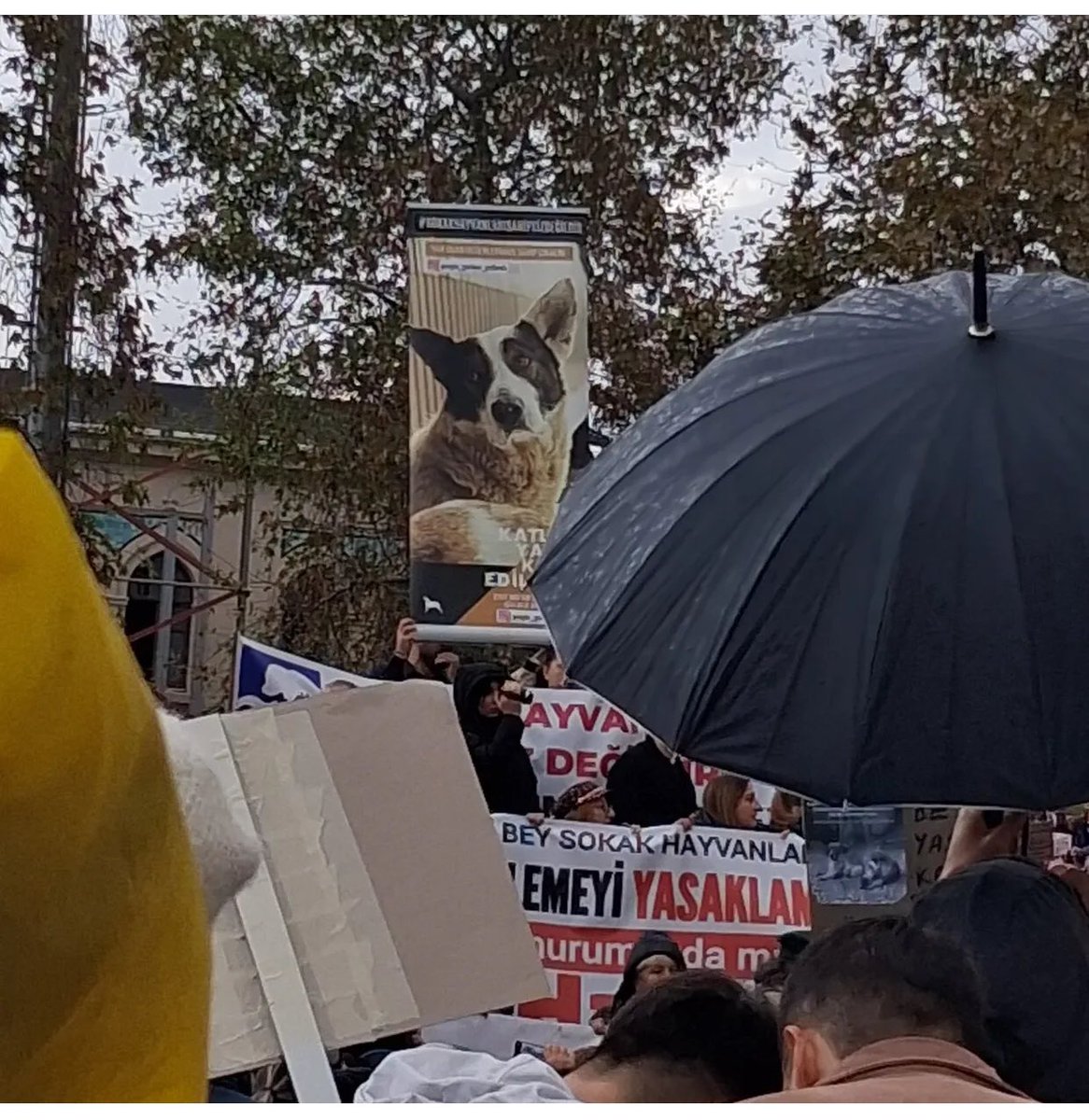 Srpulsy's tweet image. Siz bu halkın merhametini, hayvan sevgisini nasıl yeneceksiniz ki
🙏🐾🌺
Bugün Kadıköy’de,
Yarın tüm yurtta!

#SokakHayvanlarıSahipsizDeğil