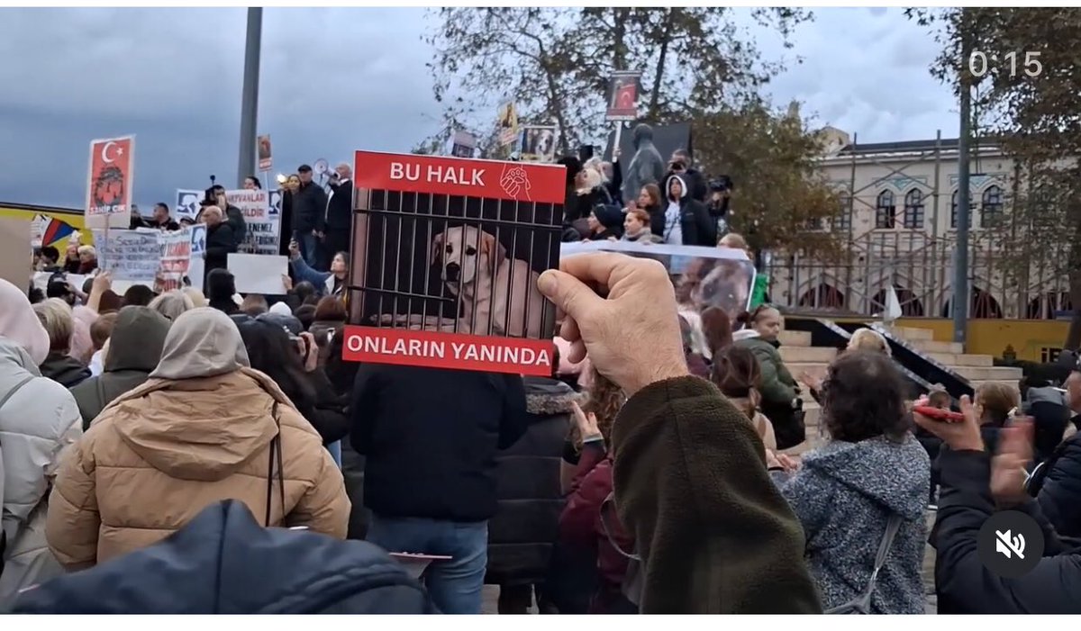 Srpulsy's tweet image. Siz bu halkın merhametini, hayvan sevgisini nasıl yeneceksiniz ki
🙏🐾🌺
Bugün Kadıköy’de,
Yarın tüm yurtta!

#SokakHayvanlarıSahipsizDeğil