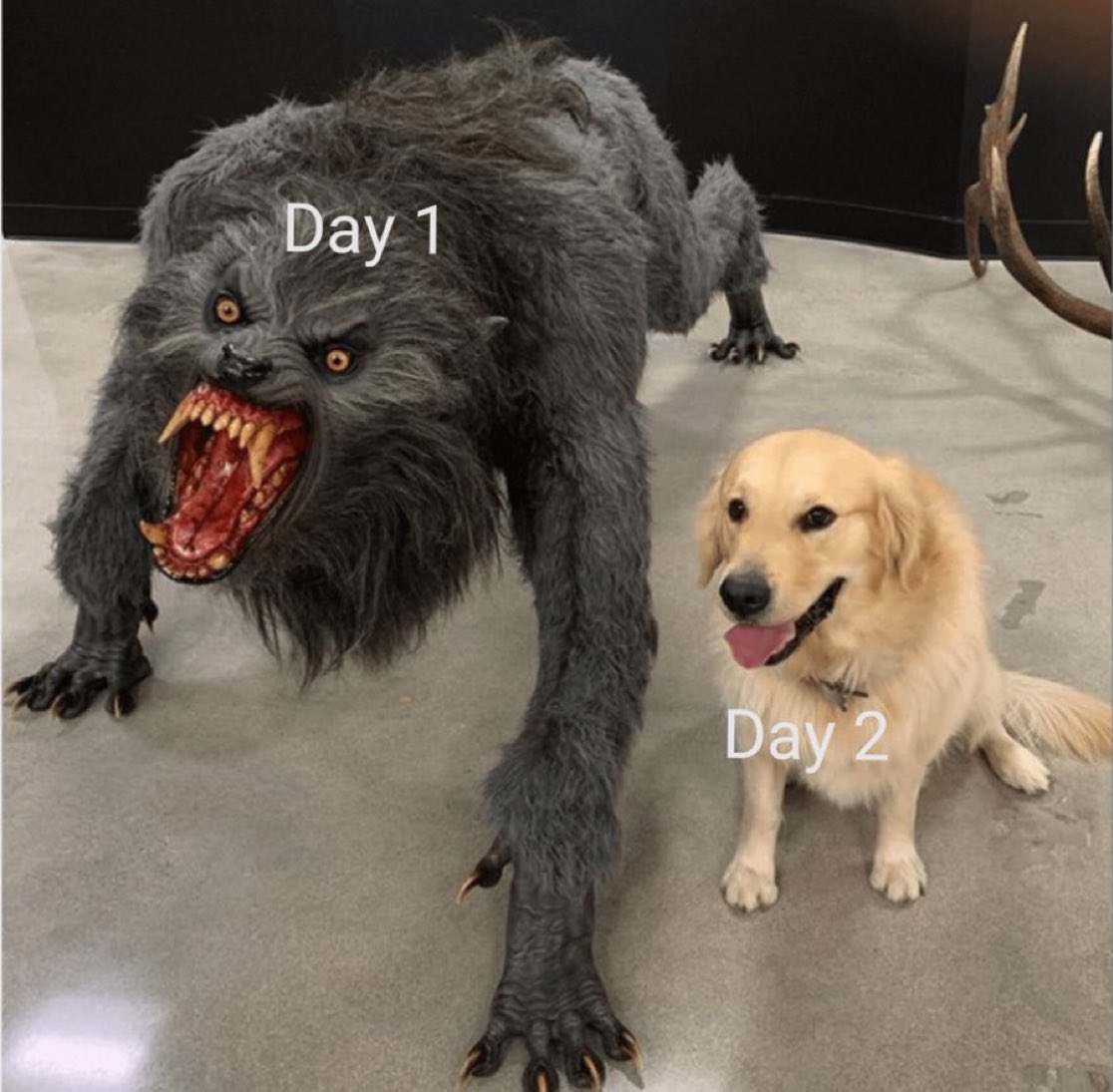 juanantoniobm's tweet image. I hope that tomorrow we will not wake up with a hard surprise 🙏

- adventofcode.com/2024/stats 👍
- adventofcode.com/2023/stats 👎
- adventofcode.com/2022/stats 👍

@AdventOfCode @victorherraiz #aoc