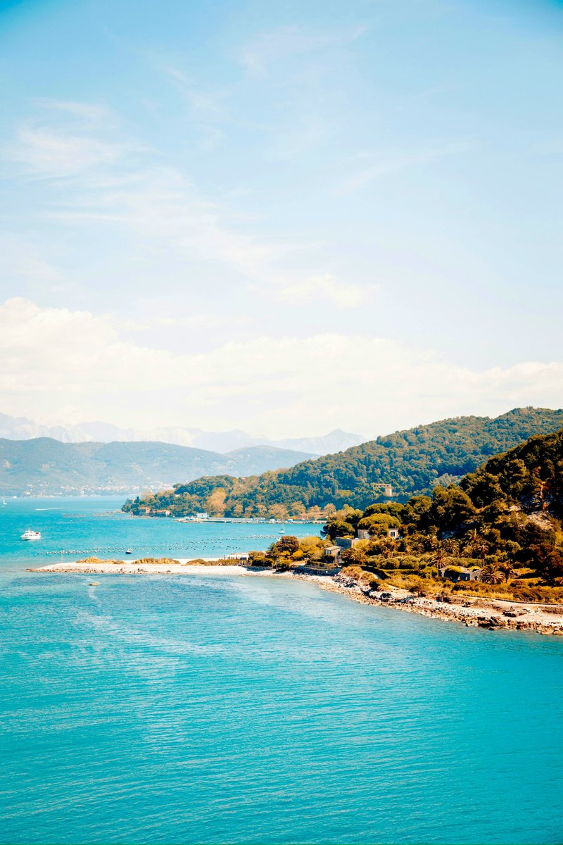 Prachtig boek: All that is left of life van Roberta Recchia