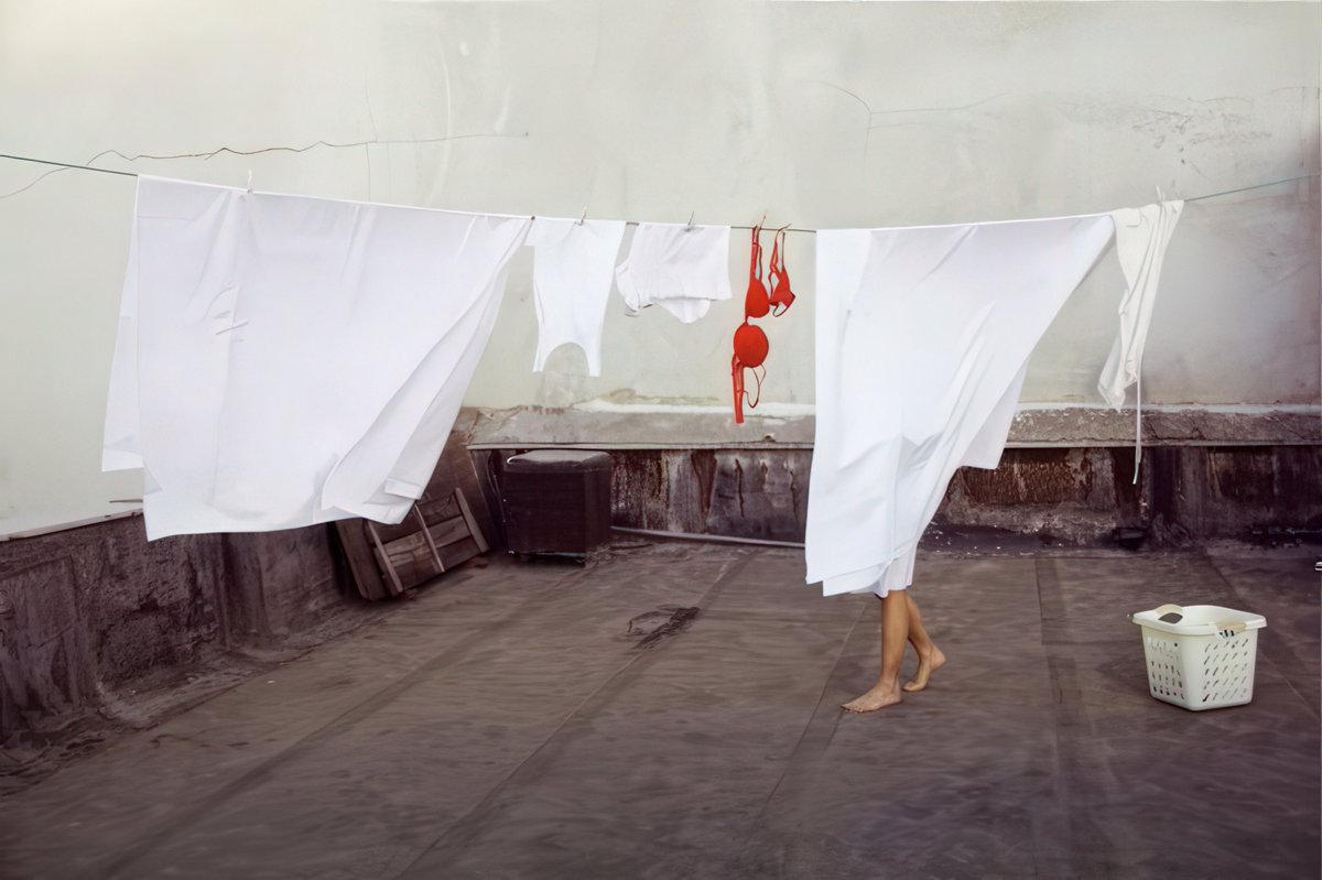 AN🌱NA tweet media