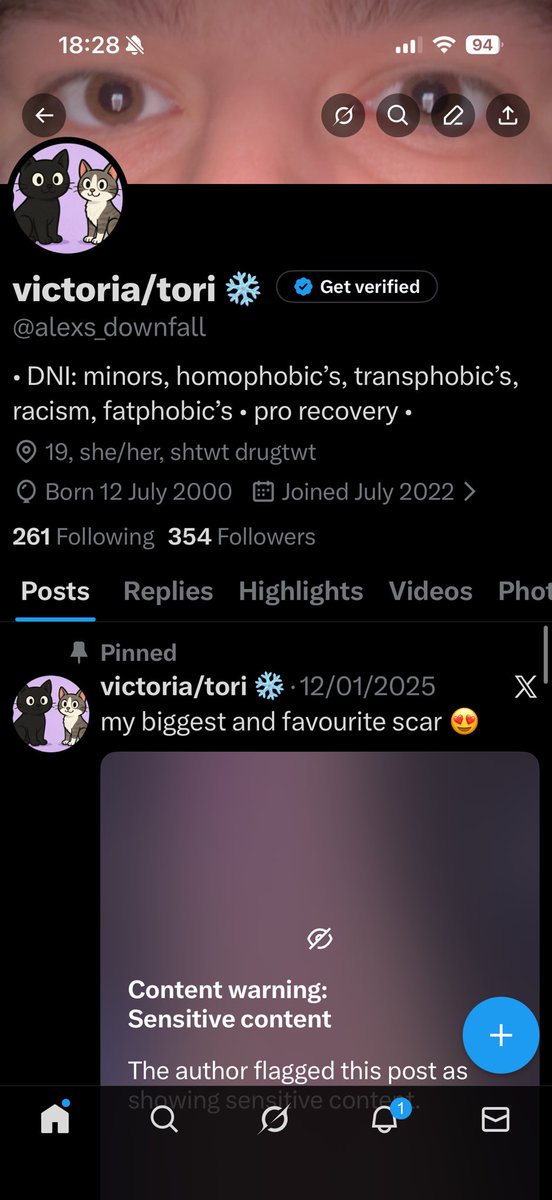 victoria/tori ❄️ tweet media