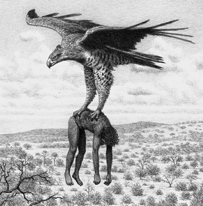 SarevokFC's tweet photo. Anche nel pliocene la domenica sera era un momento di malinconica inquietudine: https://t.co/ZDNHZGxRjf