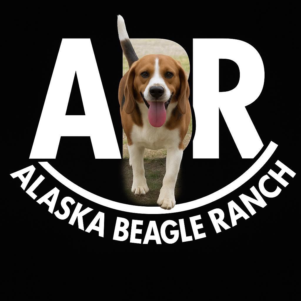Update to Honey’s medical condition. <a href="/beagle_ranch/">AK Beagle Ranch</a> appreciates all the support and prayers for all the pups 🐶 at the Ranch!