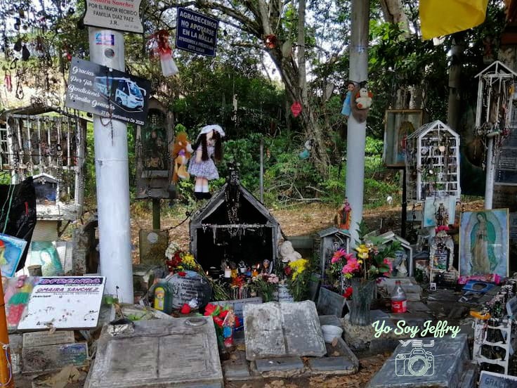 Profe_jeff30's tweet image. #StarAcademyLeLive