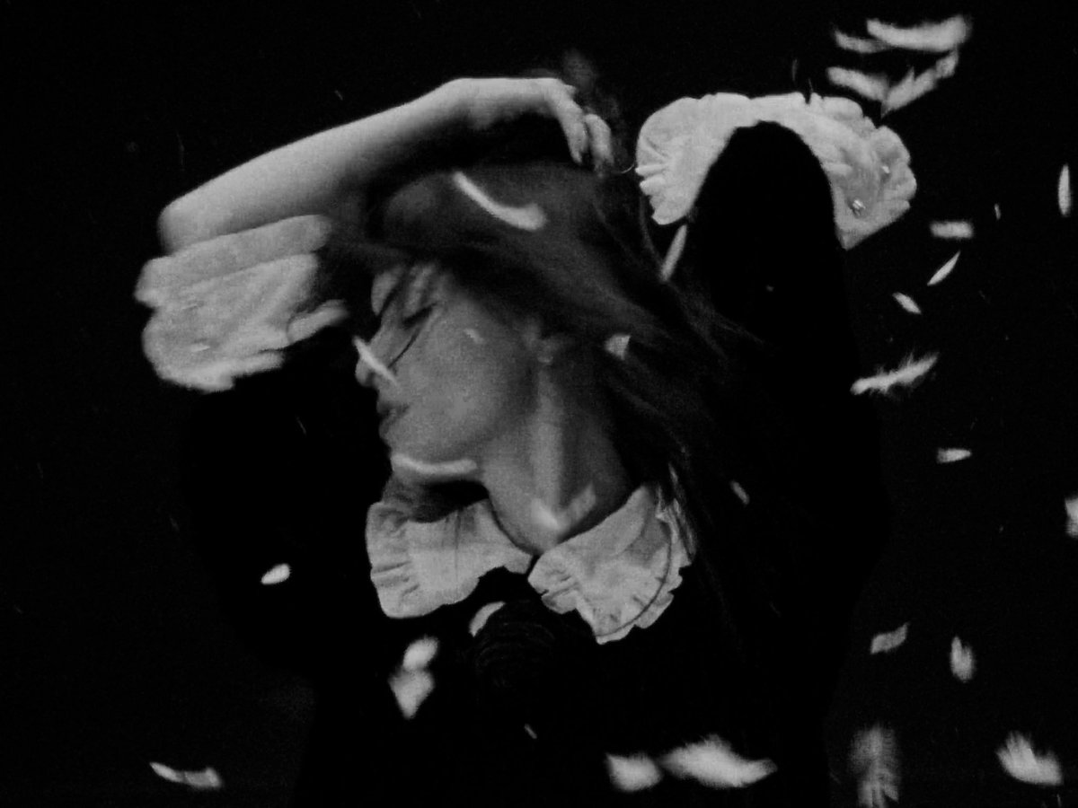 notforrradio's tweet image. stills from swan