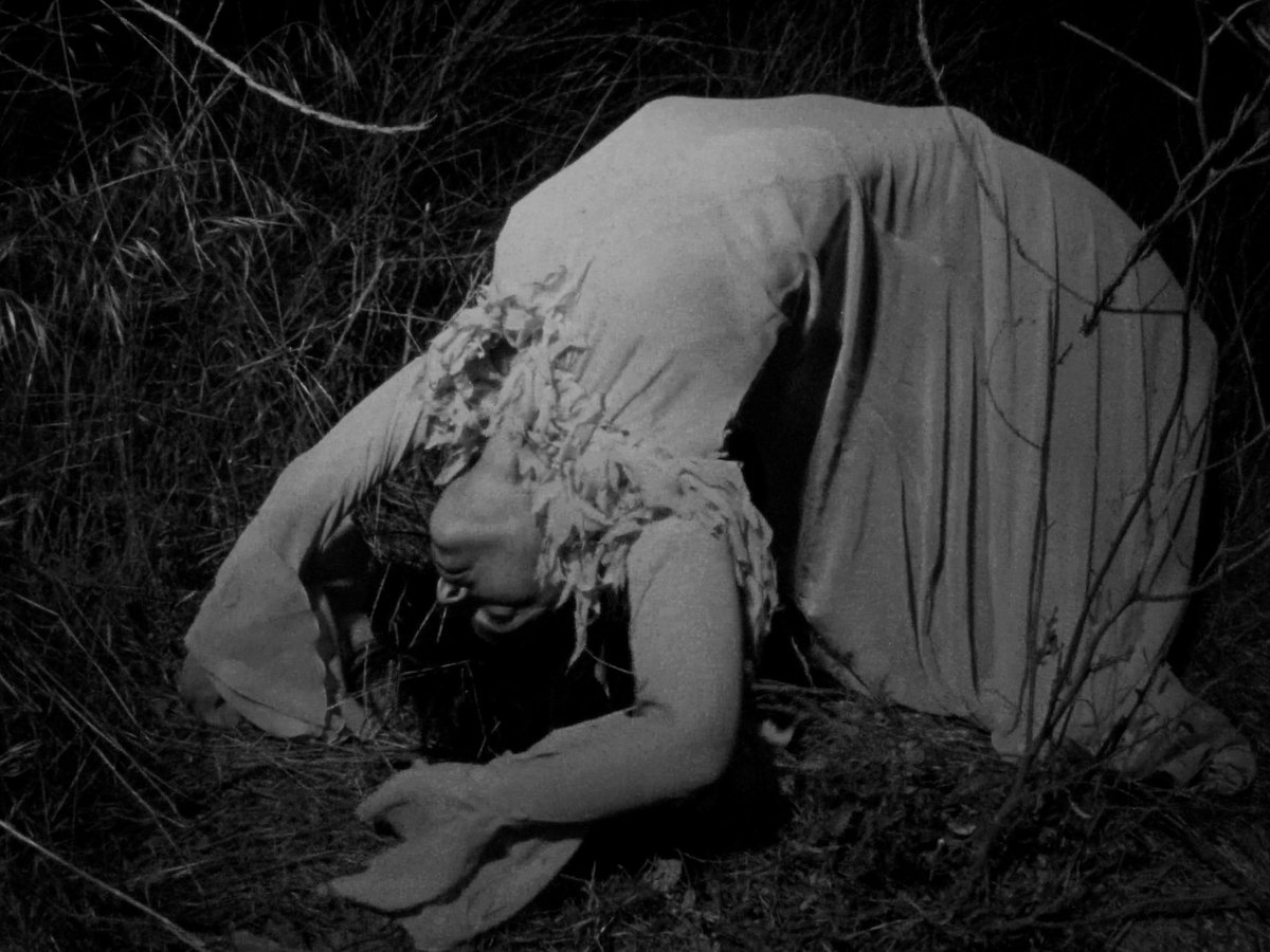 notforrradio's tweet image. stills from swan