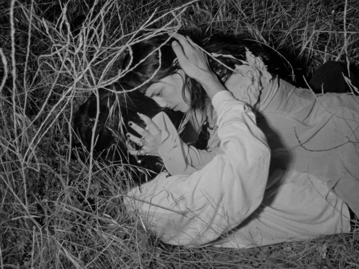 notforrradio's tweet image. stills from swan