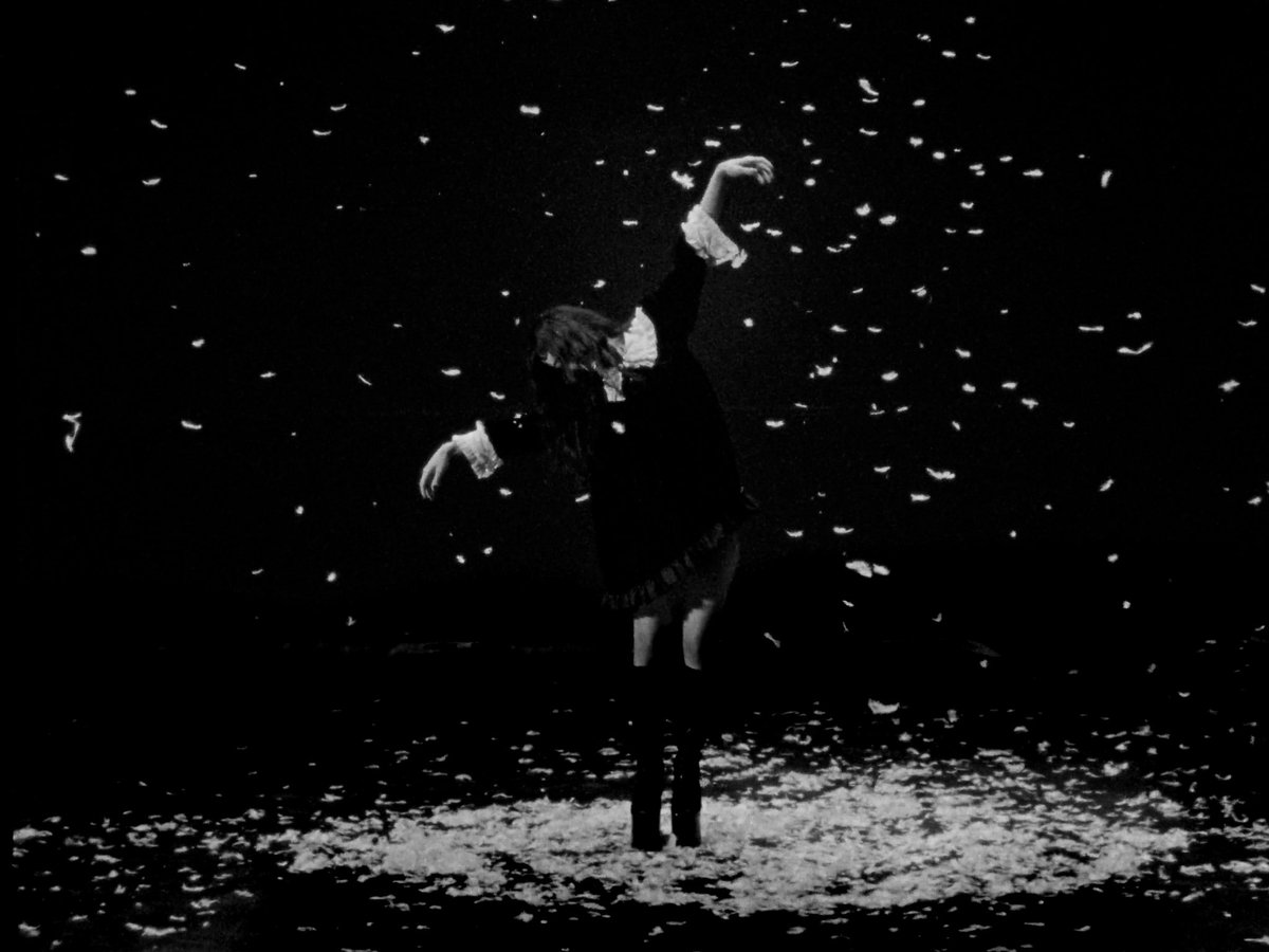 notforrradio's tweet image. stills from swan