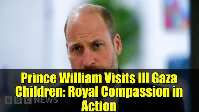 mbga_uk's tweet photo. William has visited severely ill children flown in from Gaza being treated by the NHS UK.
Again our country being used, when there are Rich Arab states with super sized hospitals who can treat them.
Time to put our Taxpaying people who need help first

https://t.co/dEtihOVTS8 https://t.co/arwkwu1MMD