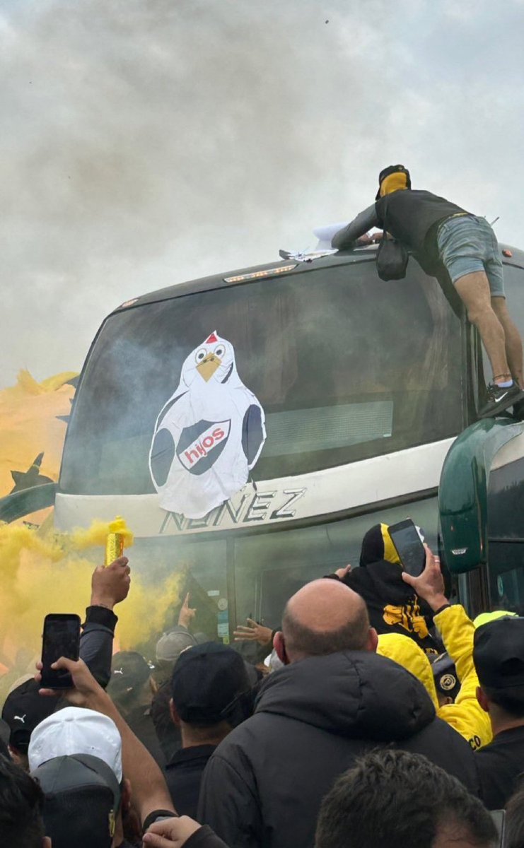 Ella siempre va… ZORRA 🐓