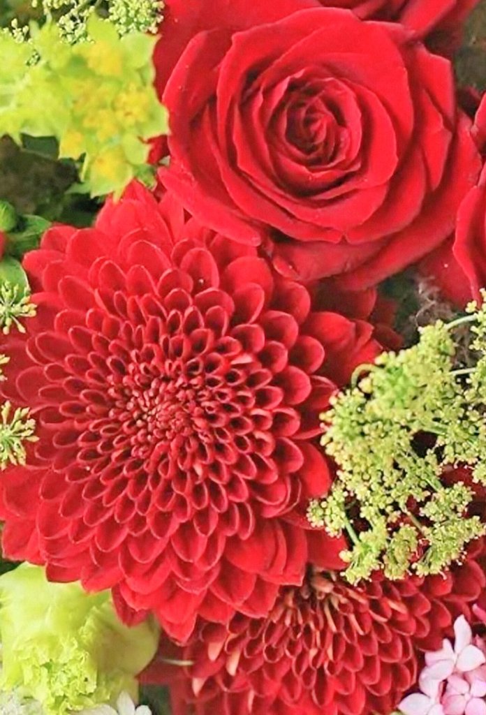 💙💙なおなお💙💙 (@dHO7aGyR4D2z5hH) / Posts / X