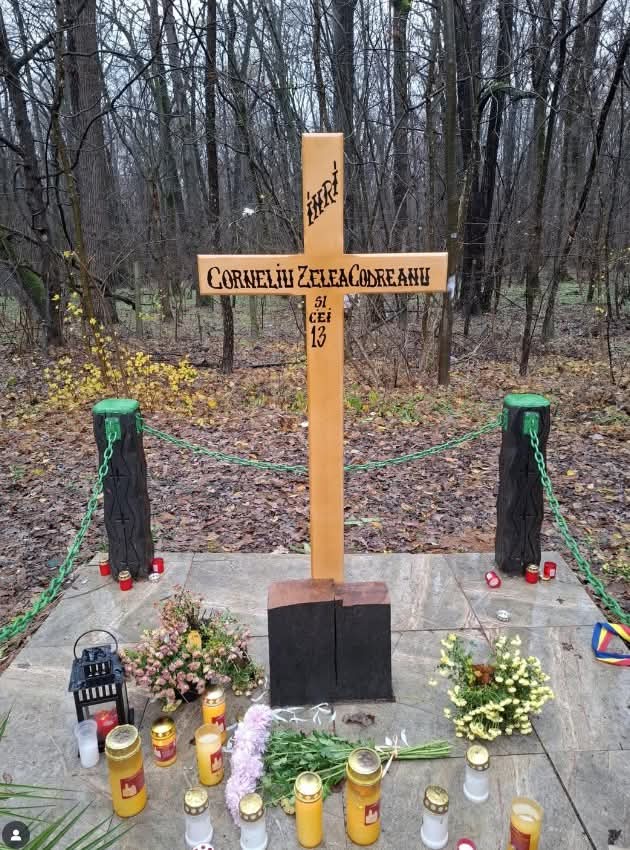 Mihaela G 🇷🇴 🇪🇺 tweet media