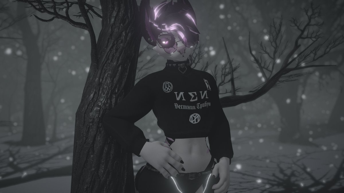 p i n c c tweet media