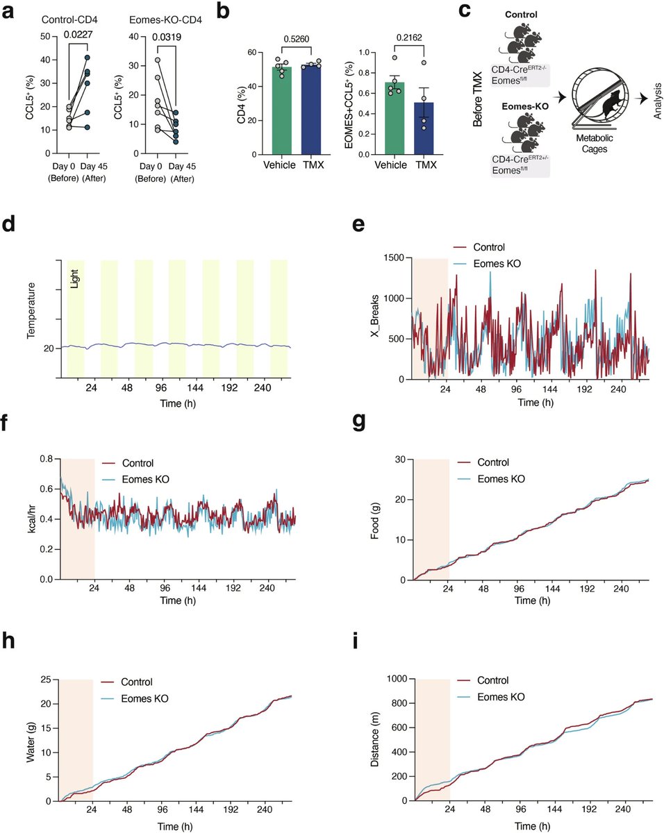 Agingdoc🩺Dr David Barzilai🔔MD PhD MS MBA DipABLM tweet media