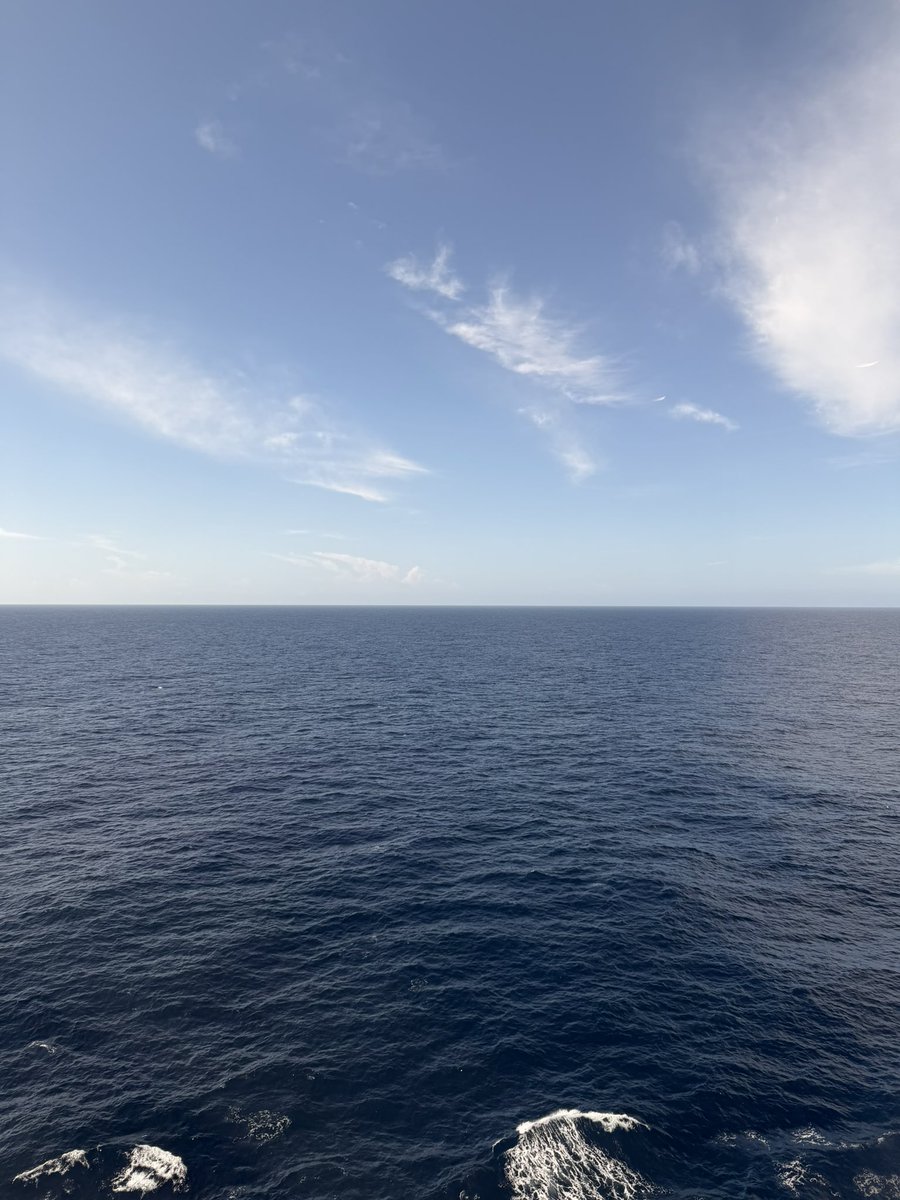 Aaerox's tweet photo. 🛳️ https://t.co/BFQNmiWMWJ