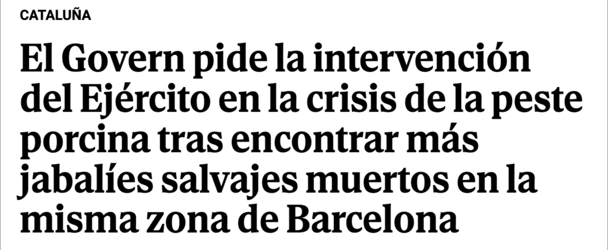Creo que se refieren al ejercito español... la coherencia habitual.