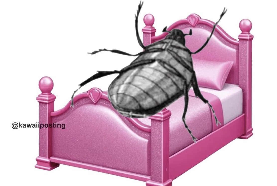 la auténtica horizontalidad: