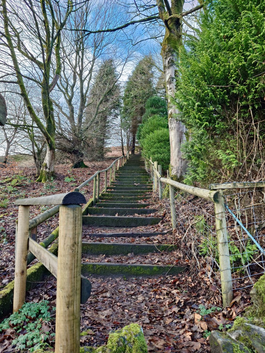 MonicaCrimmins's tweet image. Some more pics from our walk from the Pavilion gardens in Buxton to Burbage Edge #Buxton #Derbyshire